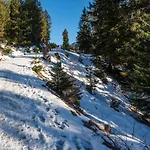 Gori Boutique - Tirol 아파트