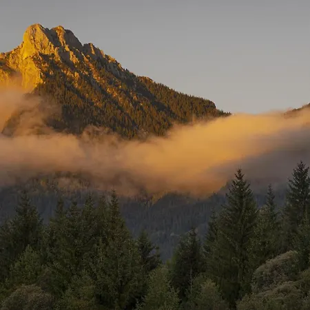 Gori Boutique - Tirol Apartment Reutte